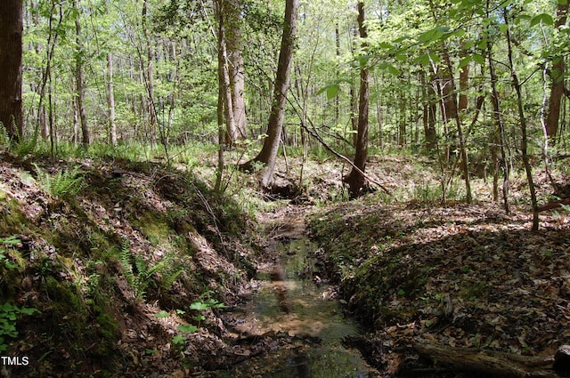 0 Egypt Mountain Rd, Kittrell, NC 27544