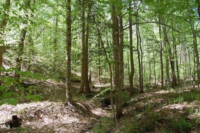 0 Egypt Mountain Rd, Kittrell, NC 27544