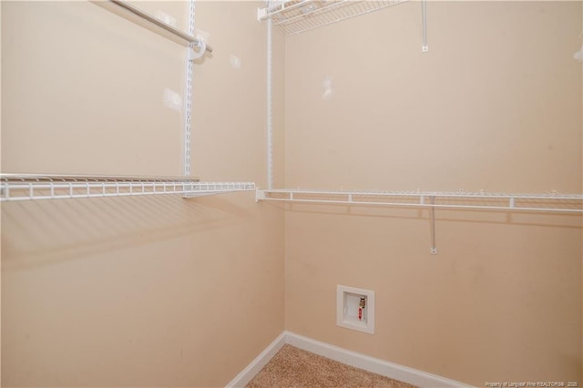 spacious closet featuring carpet