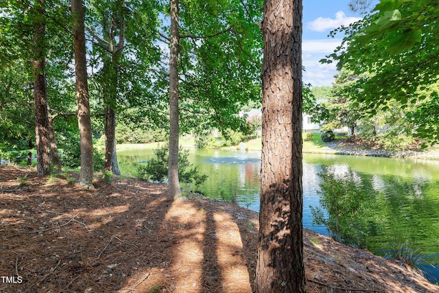 1505 Poets Glade Dr, Apex, NC 27523 - photo 35