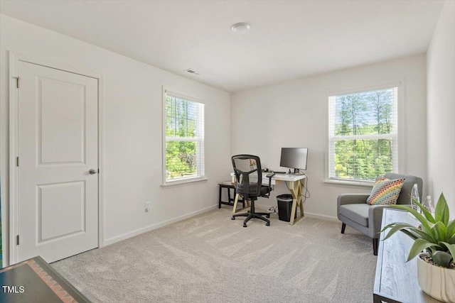 1440 Latham Garden Dr, Wake Forest, NC 27587 - office space with carpet and baseboards