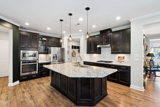 kitchen with appliances with stainless steel finishes, a sink, under cabinet range hood, light wood-type flooring, and decorative backsplash