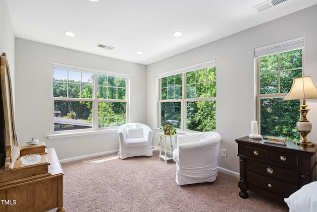 bedroom featuring baseboards, carpet floors, and recessed lighting