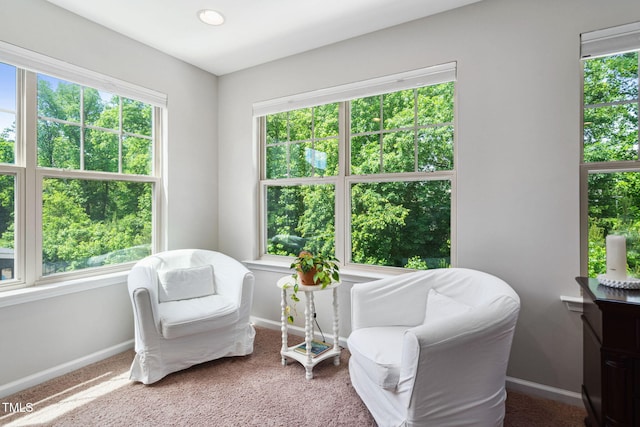 living area featuring baseboards and carpet