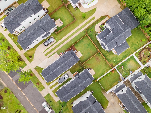 bird's eye view