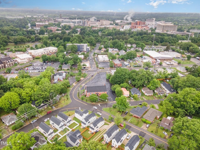 bird's eye view