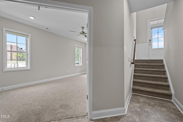 986 Gateway Commons Cir, Wake Forest, NC 27587 - staircase featuring carpet flooring, baseboards, and a ceiling fan