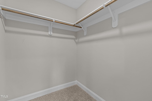 986 Gateway Commons Cir, Wake Forest, NC 27587 - spacious closet featuring carpet flooring