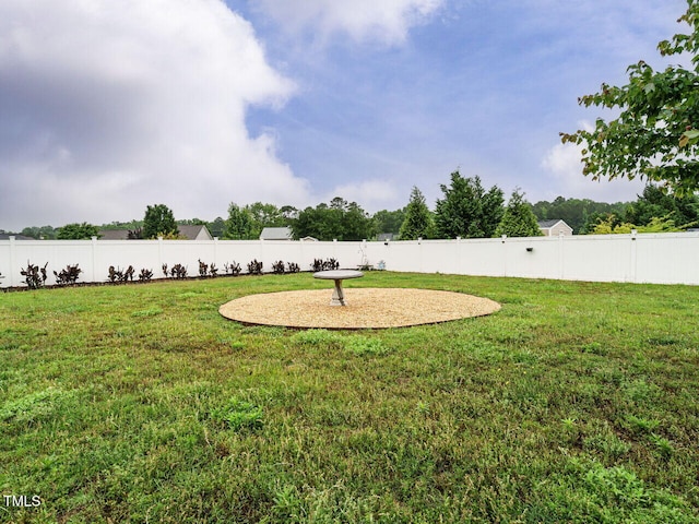 253 Middle Landing Dr, Smithfield, NC 27577 - view of yard