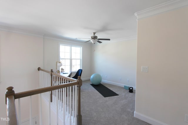 exercise area featuring carpet flooring, ceiling fan, crown molding, and baseboards