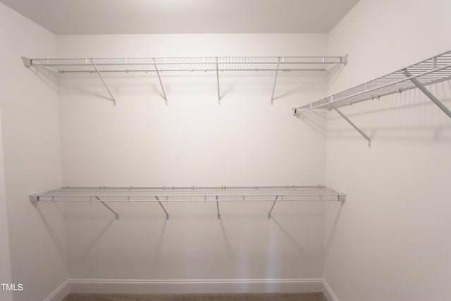 view of walk in closet