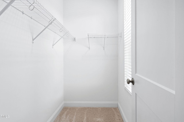 421 Wait Ave Unit 100, Wake Forest, NC 27587 - walk in closet with carpet