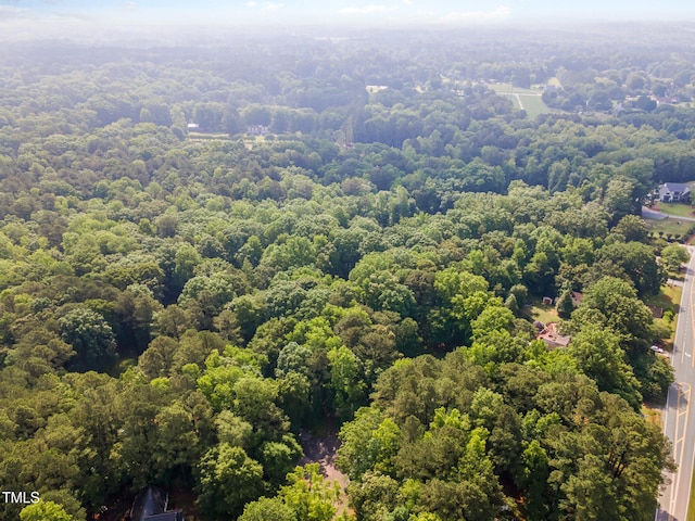 bird's eye view of a forest