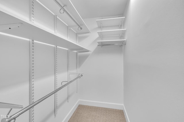 608 Cross Timbers Dr, Durham, NC 27713 - spacious closet featuring carpet