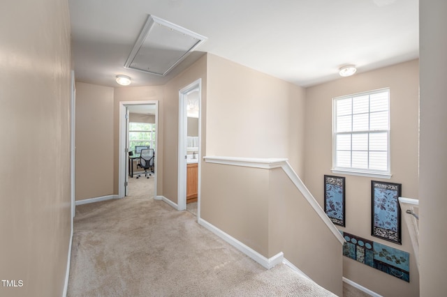 313 Weeping Willow Dr, Durham, NC 27704 - hallway featuring attic access, an upstairs landing, carpet flooring, and baseboards