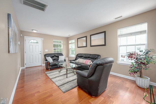 313 Weeping Willow Dr, Durham, NC 27704 - living room with light wood-style flooring and baseboards