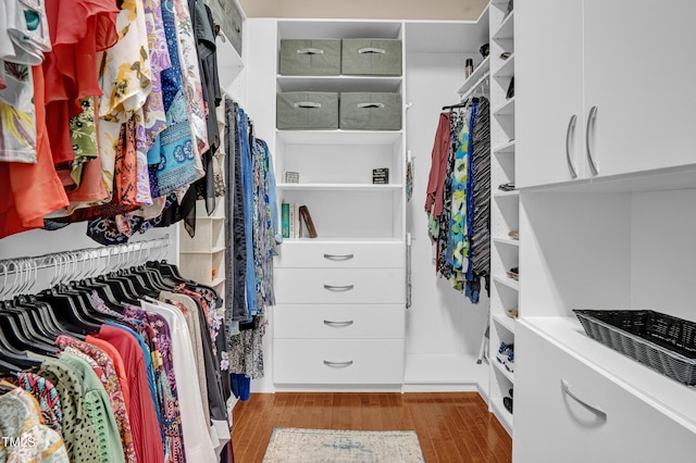 216 Colonial Ridge Dr, Pittsboro, NC 27312 - spacious closet with wood finished floors