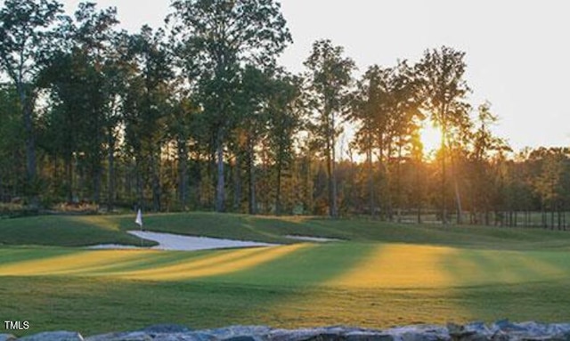 216 Colonial Ridge Dr, Pittsboro, NC 27312 - surrounding community featuring a yard and view of golf course