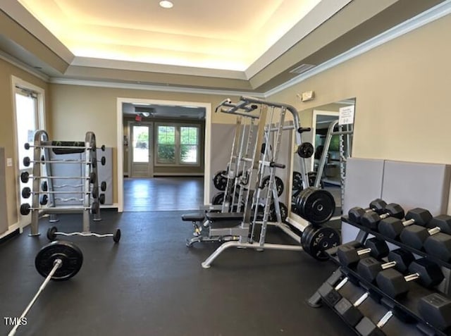216 Colonial Ridge Dr, Pittsboro, NC 27312 - workout area with a raised ceiling and crown molding