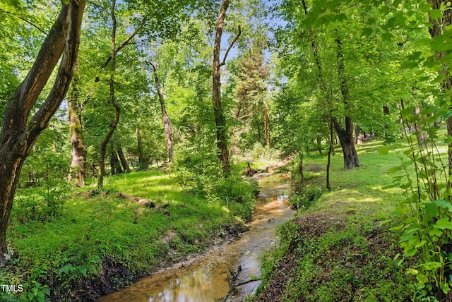 5308 Stableview Ct, Holly Springs, NC 27540 - view of undeveloped land