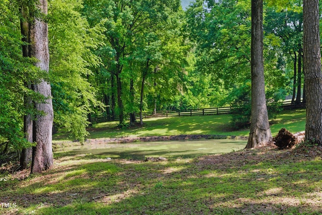 5308 Stableview Ct, Holly Springs, NC 27540 - view of yard with a wooded view
