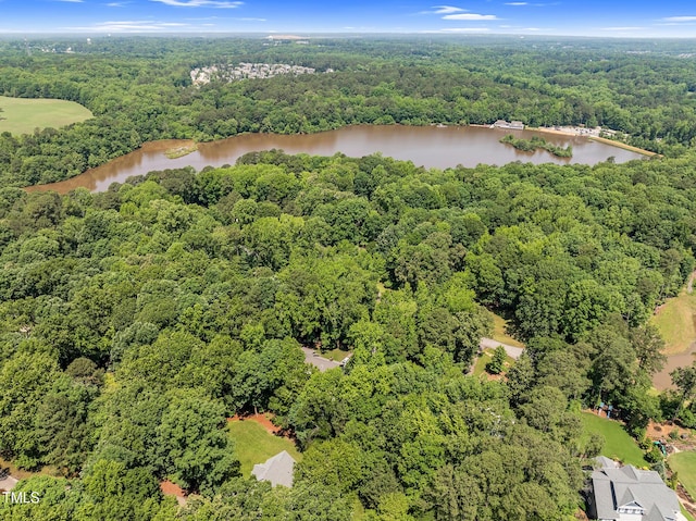 5308 Stableview Ct, Holly Springs, NC 27540 - aerial view of a forest and a large body of water