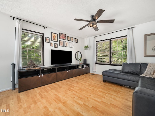 7605 Copper Mine Ln, Raleigh, NC 27615 - living room featuring wood finished floors, plenty of natural light, a ceiling fan, and a textured ceiling