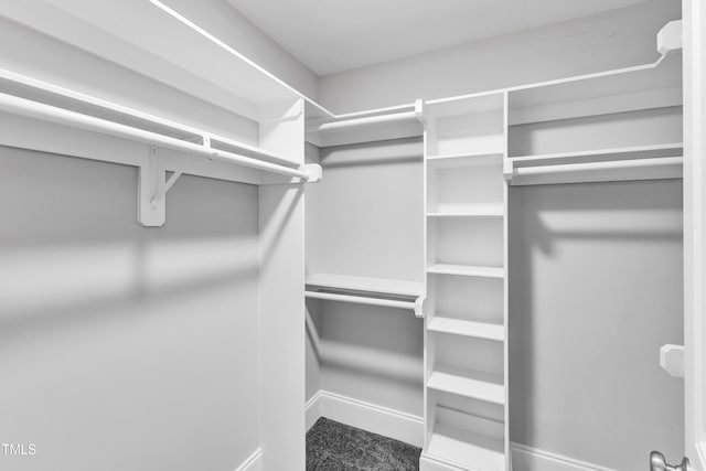 view of walk in closet