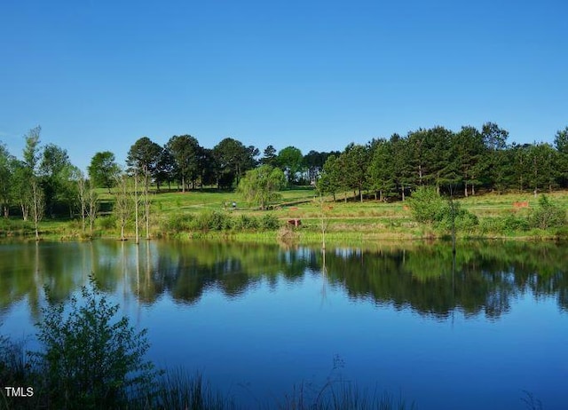 4611 Mint Leaf Ln, Raleigh, NC 27612 - water view