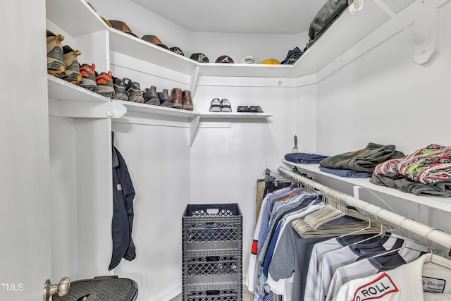 view of walk in closet