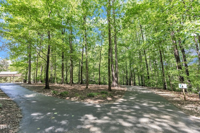 view of asphalt driveway