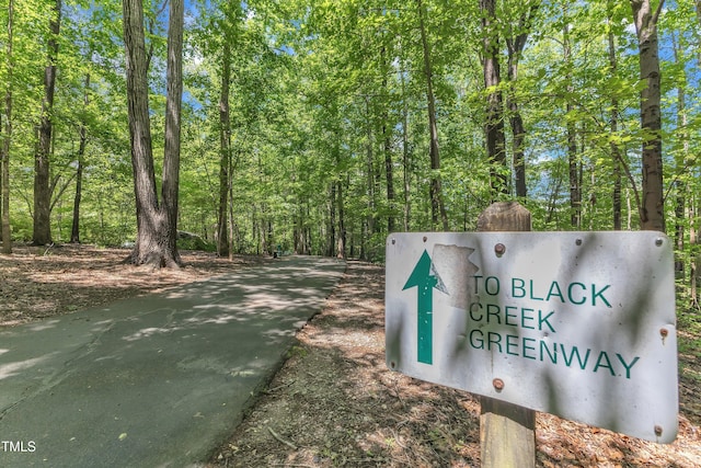 exterior view of a view of trees and driveway