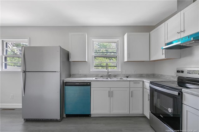 kitchen with stainless steel appliances, a sink, under cabinet range hood, light wood finished floors, and healthy amount of natural light