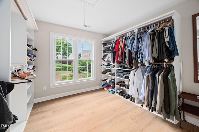 111 Gingergate Dr, Cary, NC 27519 - walk in closet featuring attic access and wood finished floors