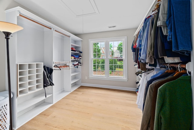 111 Gingergate Dr, Cary, NC 27519 - spacious closet with attic access and light wood-style flooring