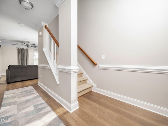 4502 Joe Cotton Dr, Knightdale, NC 27545 - stairs with wood finished floors, baseboards, and ceiling fan