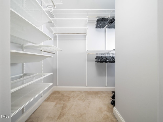 4502 Joe Cotton Dr, Knightdale, NC 27545 - walk in closet with carpet flooring