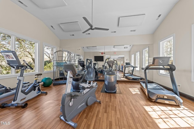 2901 Market Bridge Ln Unit 203, Raleigh, NC 27608 - exercise room featuring wood finished floors and ceiling fan
