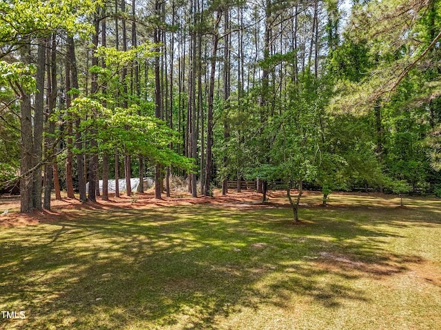 1608 New Hill Olive Chapel Rd, Apex, NC 27502 - view of green lawn with a forest view