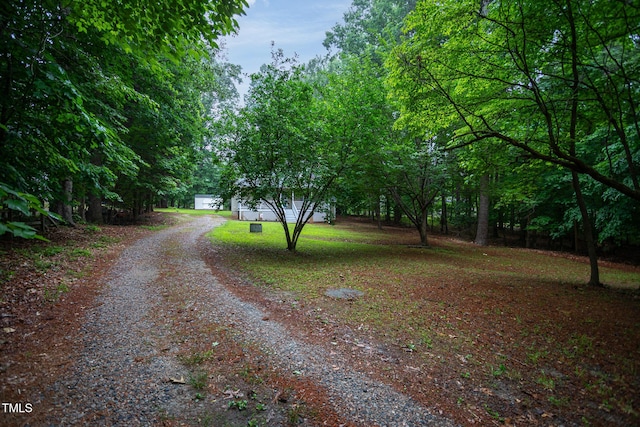129 Clark Ct, Youngsville, NC 27596 - view of dirt / gravel road