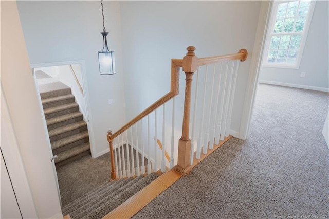 109 Sand Dollar Ct, Raeford, NC 28376 - stairway featuring carpet and baseboards