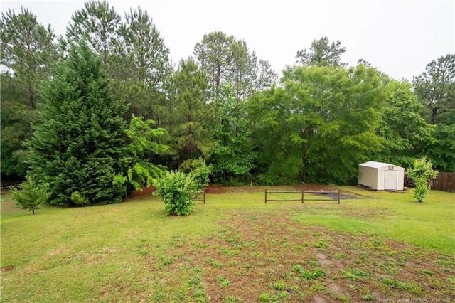 109 Sand Dollar Ct, Raeford, NC 28376 - view of yard featuring a storage unit and an outdoor structure