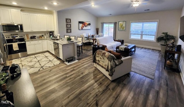 400 Access Dr, Youngsville, NC 27596 - kitchen featuring stainless steel appliances, a peninsula, open floor plan, wood finished floors, and ceiling fan