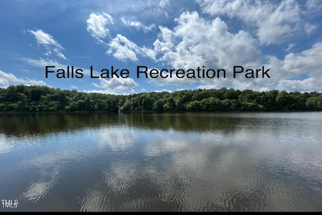 400 Access Dr, Youngsville, NC 27596 - water view featuring a heavily wooded area