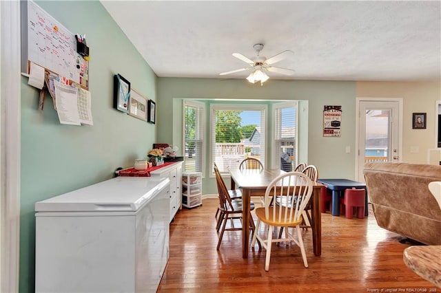 1501 E 6th St, Lumberton, NC 28358 - dining room featuring light wood finished floors and a ceiling fan