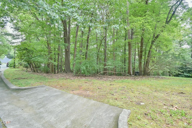 105 Oldham Pl, Chapel Hill, NC 27516 - photo 1