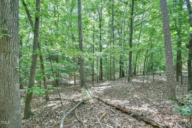 105 Oldham Pl, Chapel Hill, NC 27516 - photo 2
