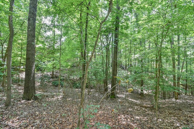 105 Oldham Pl, Chapel Hill, NC 27516 - photo 3