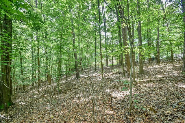105 Oldham Pl, Chapel Hill, NC 27516 - photo 4