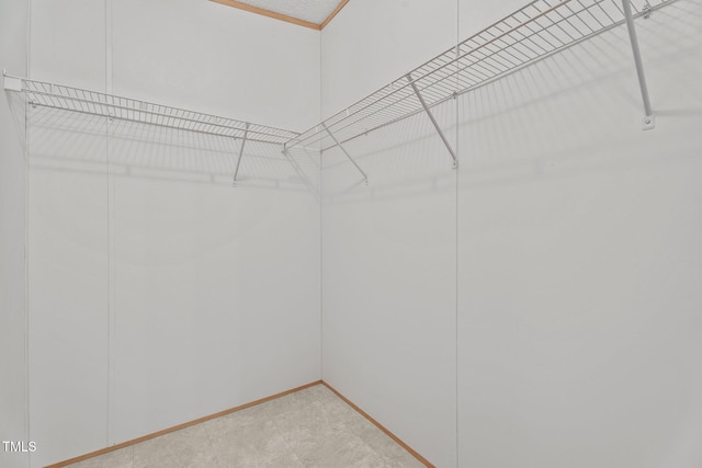 4870 Dogwood Dr, Battleboro, NC 27809 - view of walk in closet